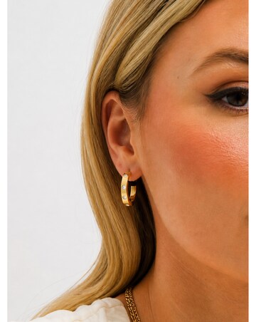 Jon Richard Gold Plated Waterproof  and Crystal Hoop Earrings