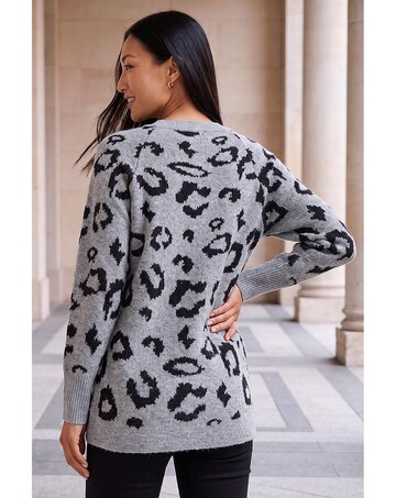 Roman Animal Print Jumper