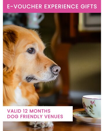 Activity Superstore Dog Friendly Afternoon Tea for Two
