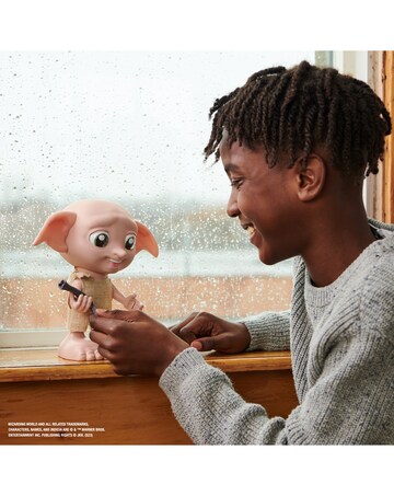 Wizarding World Interactive Dobby