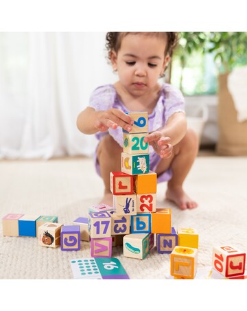 Ms. Rachel Wooden Learning Blocks