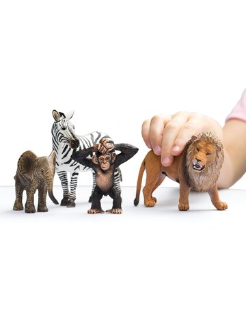 Wild Life Starter Set