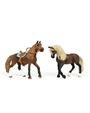 HORSE CLUB Paso Peruano