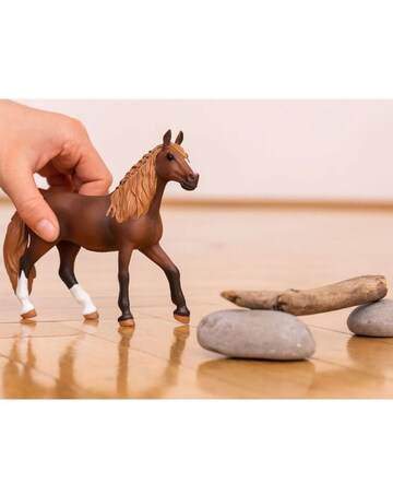 HORSE CLUB Paso Peruano