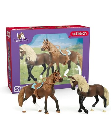 HORSE CLUB Paso Peruano
