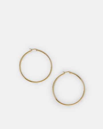 Accessorize Stainless Steel Earrings