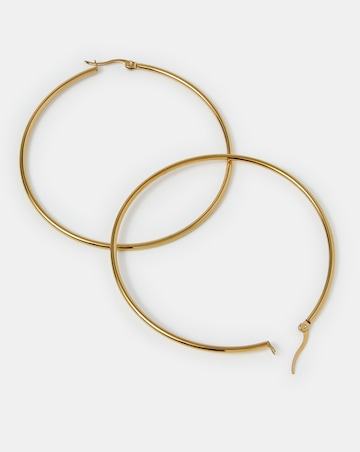 Accessorize Stainless Steel Earrings