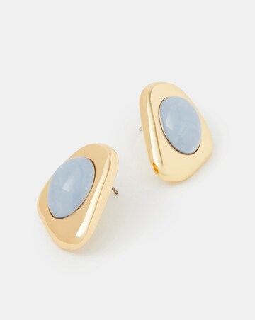 Accessorize Statement Stud Earrings