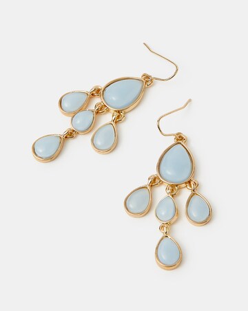 Accessorize Resin Chandelier Earrings