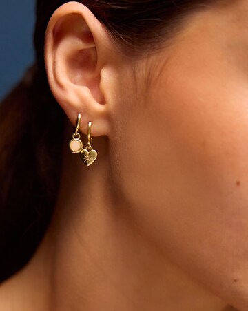 Accessorize 5pk Gold Stud/Hoop Earrings