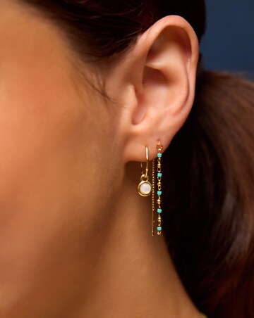 Accessorize 5pk Gold Stud/Hoop Earrings