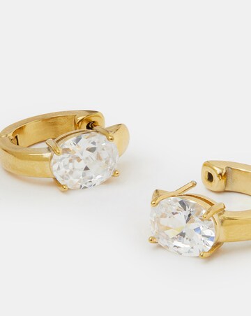 Accessorize Steel Stone Hoop Earrings