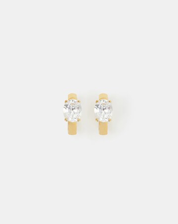 Accessorize Steel Stone Hoop Earrings
