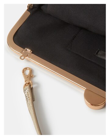Accessorize Clip Frame Clutch Bag