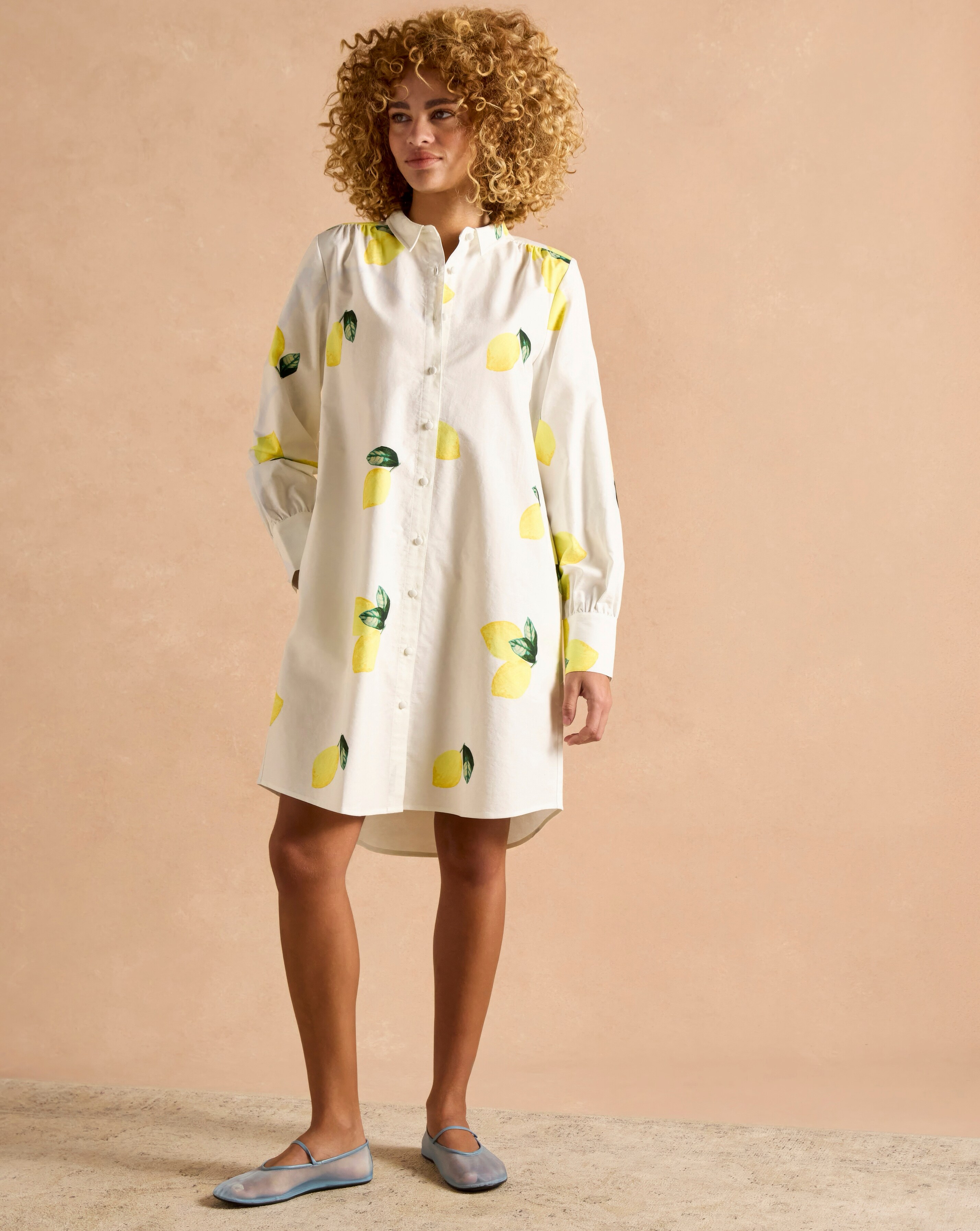 Joules Pheobe Shirt Dress
