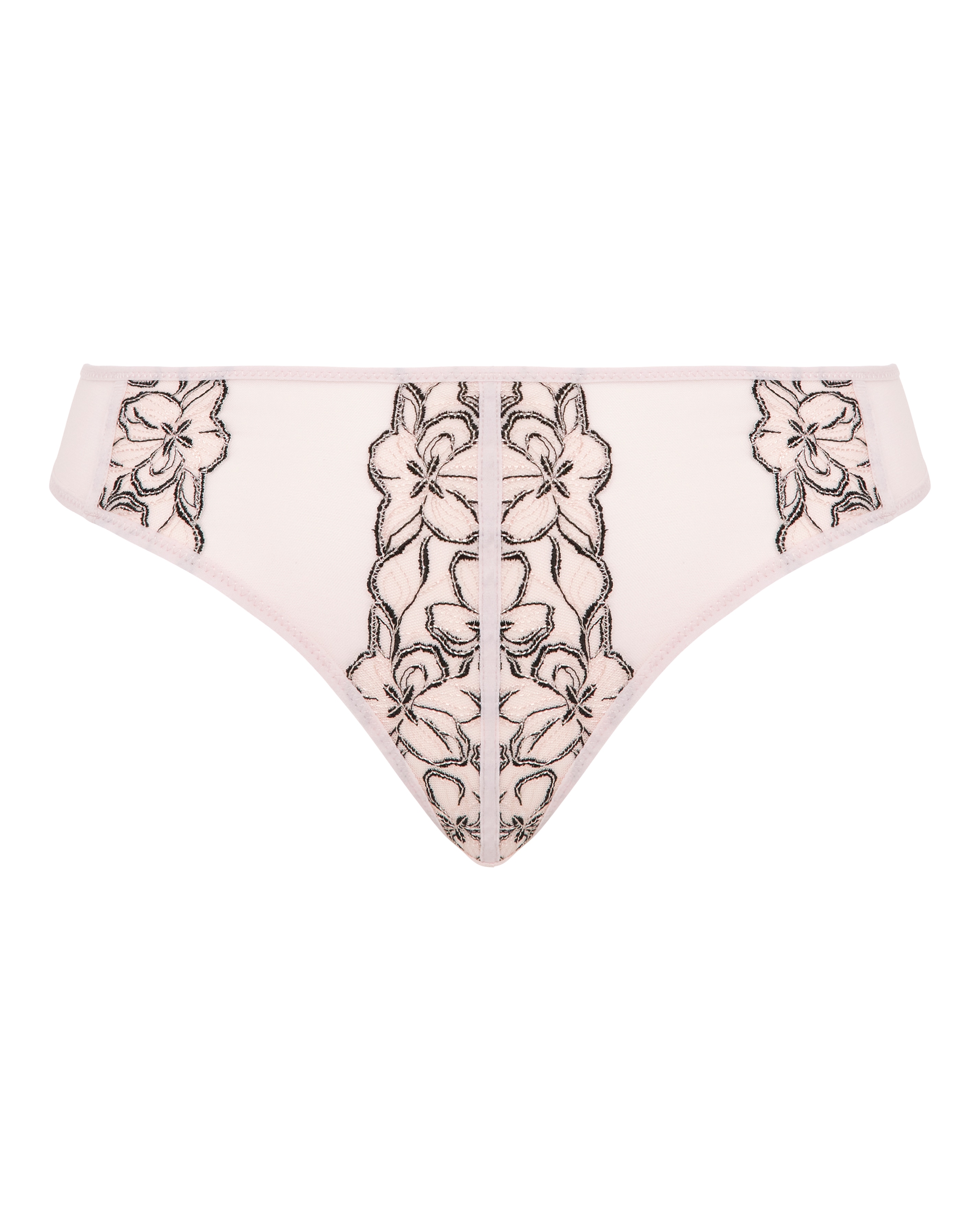 Contemporary Mesh & Lace Brief