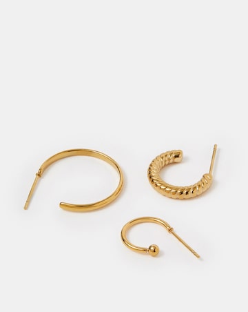 Accessorize Stainless Steel Mix Earrings