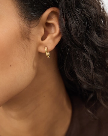 Accessorize Stainless Steel Mix Earrings