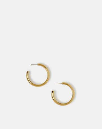 Accessorize ST Chunky Hoop Earrings
