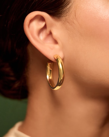 Accessorize ST Chunky Hoop Earrings