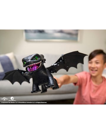 DreamWorks How to Train Your Dragon Tame and Train Interactive Toothless