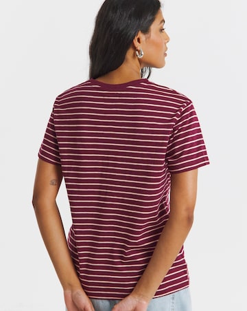 Red & Pink Stripe Pure Cotton Crew Neck T-Shirt