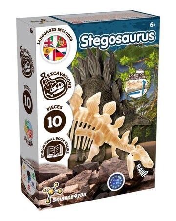 Stegosaurus Fossil Excavation
