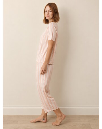 Multi Stripe Jersey Boxy Tee Pj