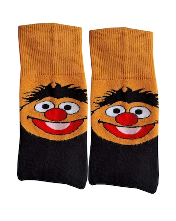 Mens Bert & Ernie 2pk Slipper Sock