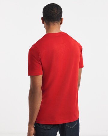 Pure Cotton Crew Neck T-Shirt Long