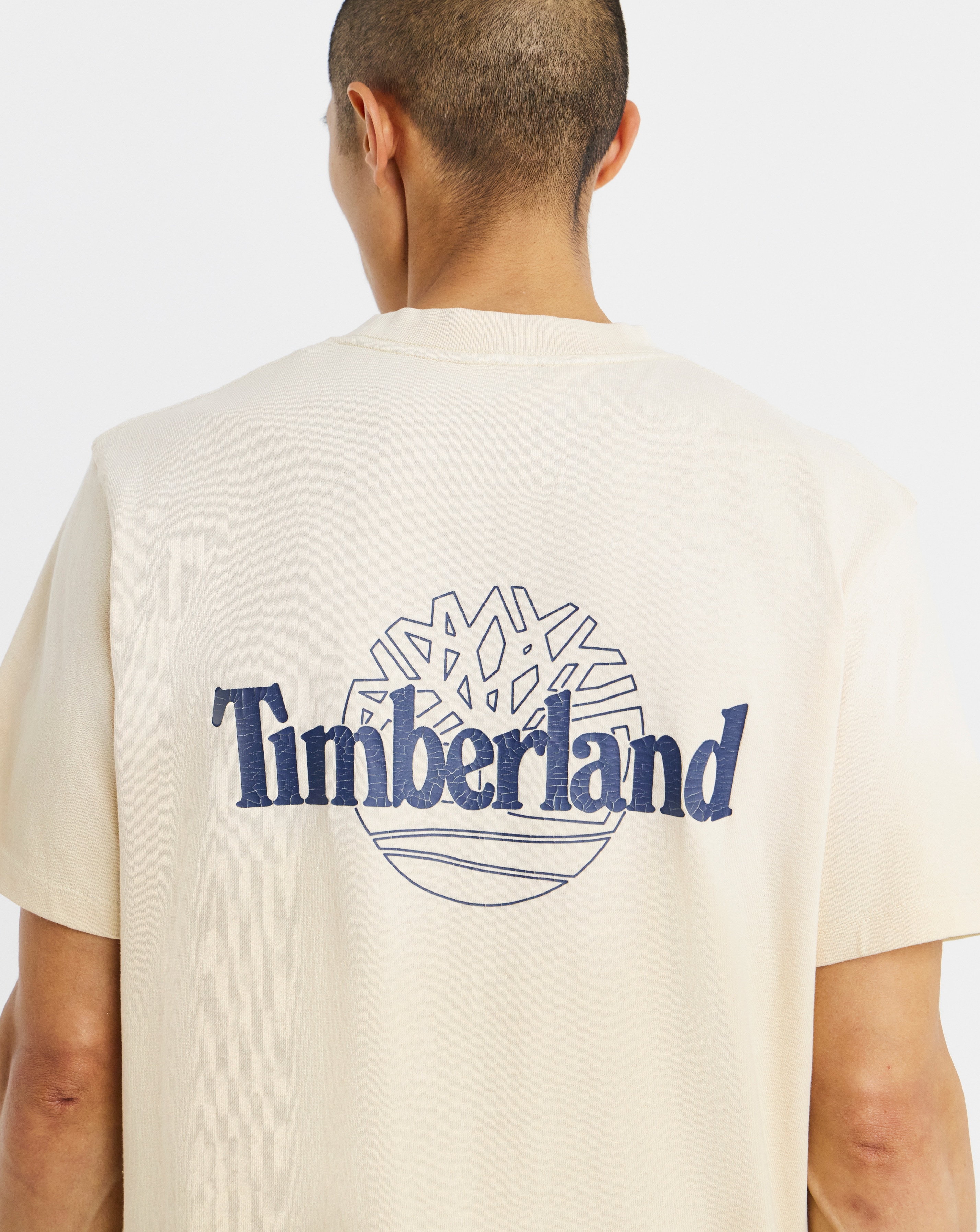 Timberland sunfaded Graphic T-Shirt