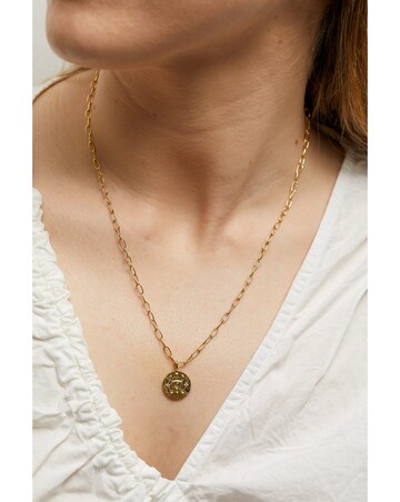 Inicio 14K Real Gold Plated Recycled Rose Quartz Necklace