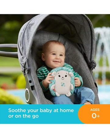 Fisher Price Calming Vibes Hedgehog Soother