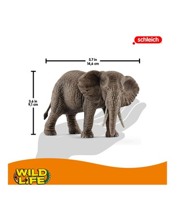 Schleich - African Elephant Female