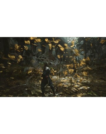 Black Myth: Wukong (PS5)
