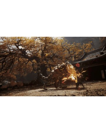 Black Myth: Wukong (PS5)