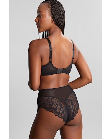 Pananche Allure Deep Brief