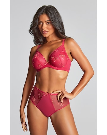 Panache Meadow Deep Knicker Raspberry