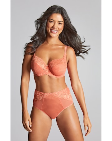 Panache Envy Full Cup Wired Bra Terracotta