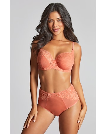 Panache Envy Deep Brief Terracotta