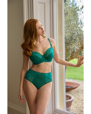Panache Envy Deep Knicker Teal