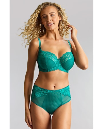 Panache Envy Deep Knicker Teal