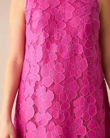 Ro&Zo Lace Mini Shift Dress