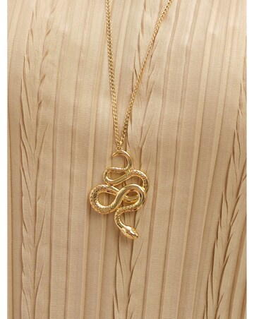 Jon Richard Gold Plated Snake Long Pendant