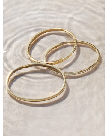 Jon Richard Sterling Silver Plated Stainless Steel Polished Bangle