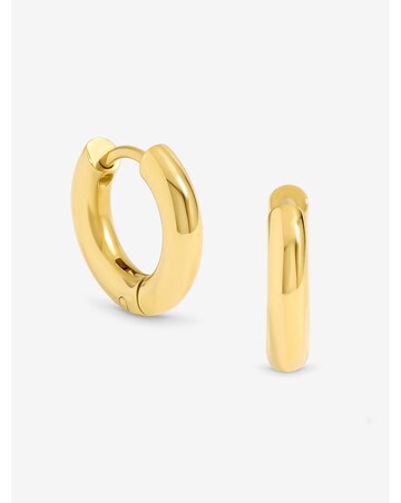 Jon Richard Gold Plated Stainless Steel Small Chubby Hoop Earrings