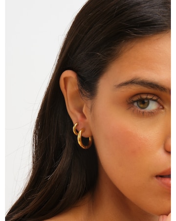 Jon Richard Gold Plated Stainless Steel Small Chubby Hoop Earrings
