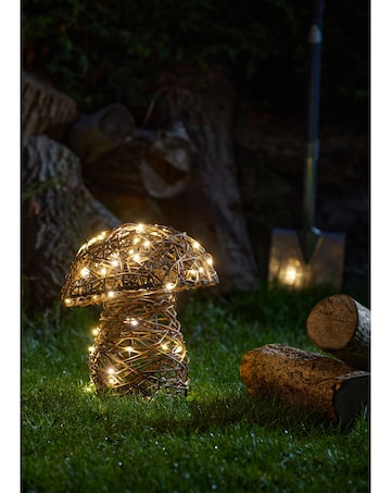 InLit Mushroom