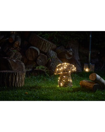 InLit Mushroom Mail Order