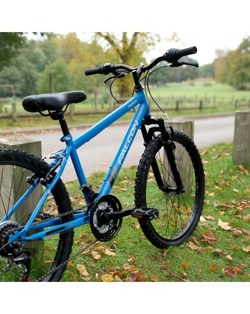 Falcon Raptor Kids Mountain Bike